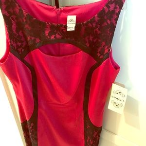 NWT, SANGRIA PINK SATIN DRESS